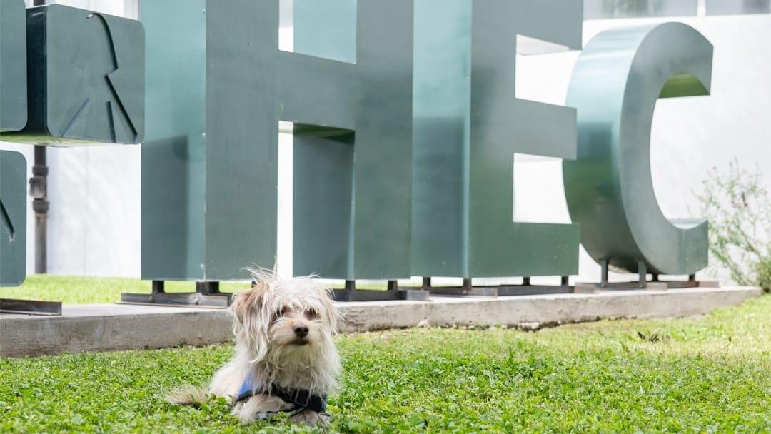 Día del Animal: Benja es el primer integrante del Staff Canino del Hospital “El Cruce Dr. Néstor Carlos Kirchner”. 